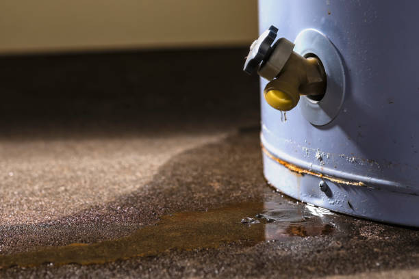Best Mold removal after water damage  in Csar Chvez, TX