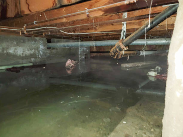 Best Flooded house restoration  in Csar Chvez, TX