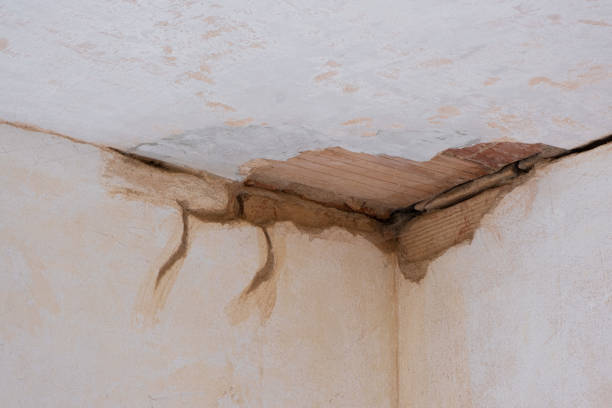 Trusted Csar Chvez, TX Water damage restoration Experts