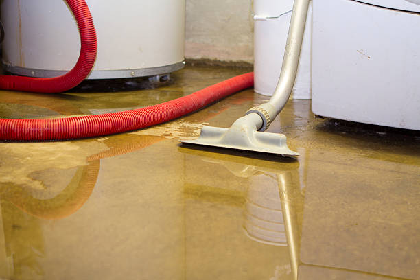 Best Residential water damage restoration  in Csar Chvez, TX