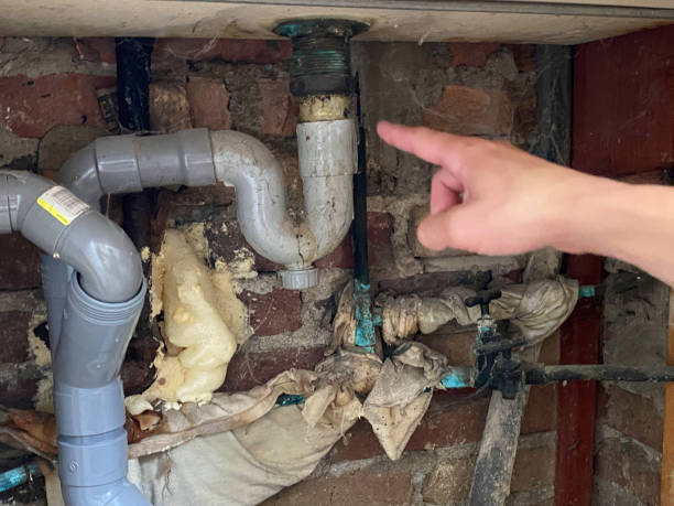 Best Flood restoration services  in Csar Chvez, TX