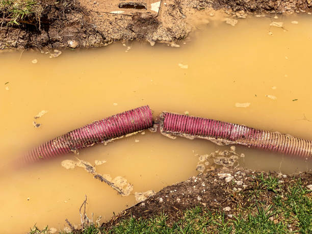 Best Flood damage cleanup  in Csar Chvez, TX